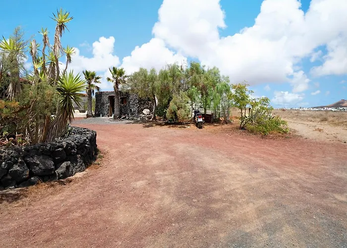 Aloe Art Teguise (Lanzarote)