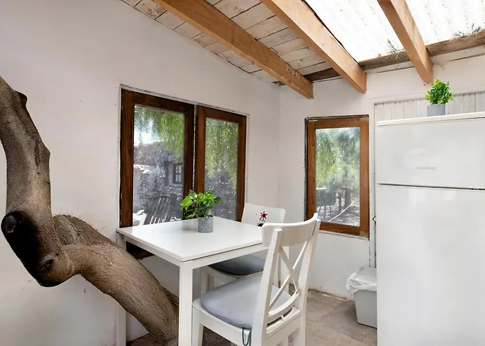 Aloe Art * Teguise (Lanzarote)